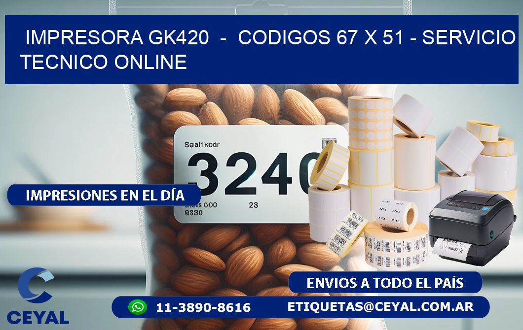 IMPRESORA GK420  –  CODIGOS 67 x 51 – SERVICIO TECNICO ONLINE