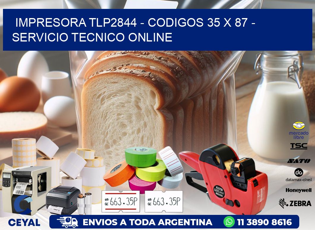 IMPRESORA TLP2844 - CODIGOS 35 x 87 - SERVICIO TECNICO ONLINE