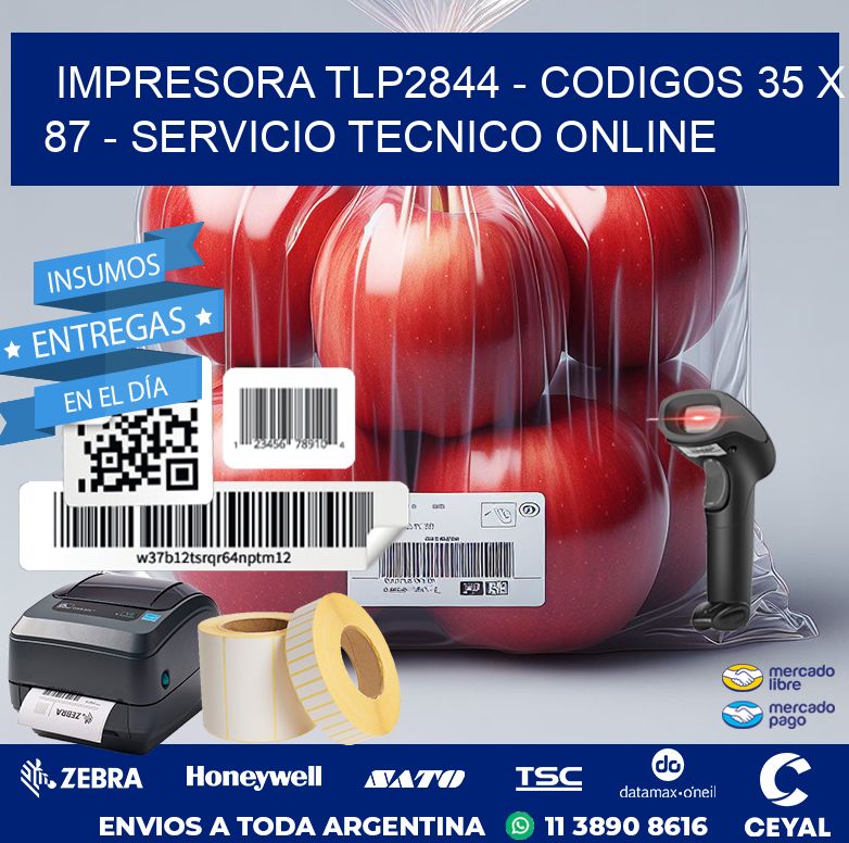 IMPRESORA TLP2844 – CODIGOS 35 x 87 – SERVICIO TECNICO ONLINE