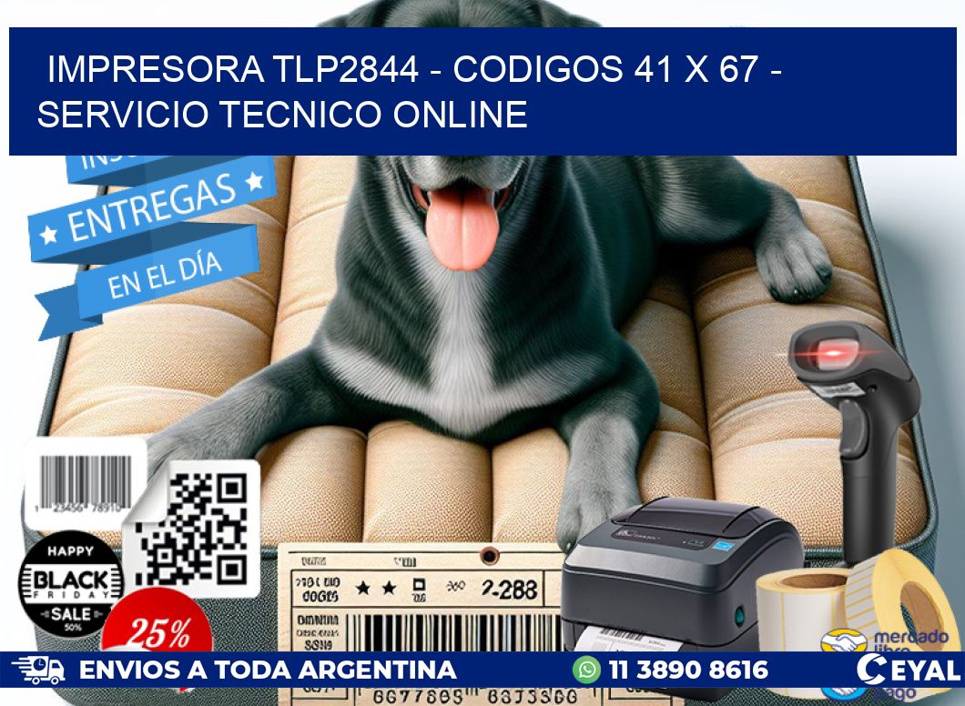 IMPRESORA TLP2844 - CODIGOS 41 x 67 - SERVICIO TECNICO ONLINE