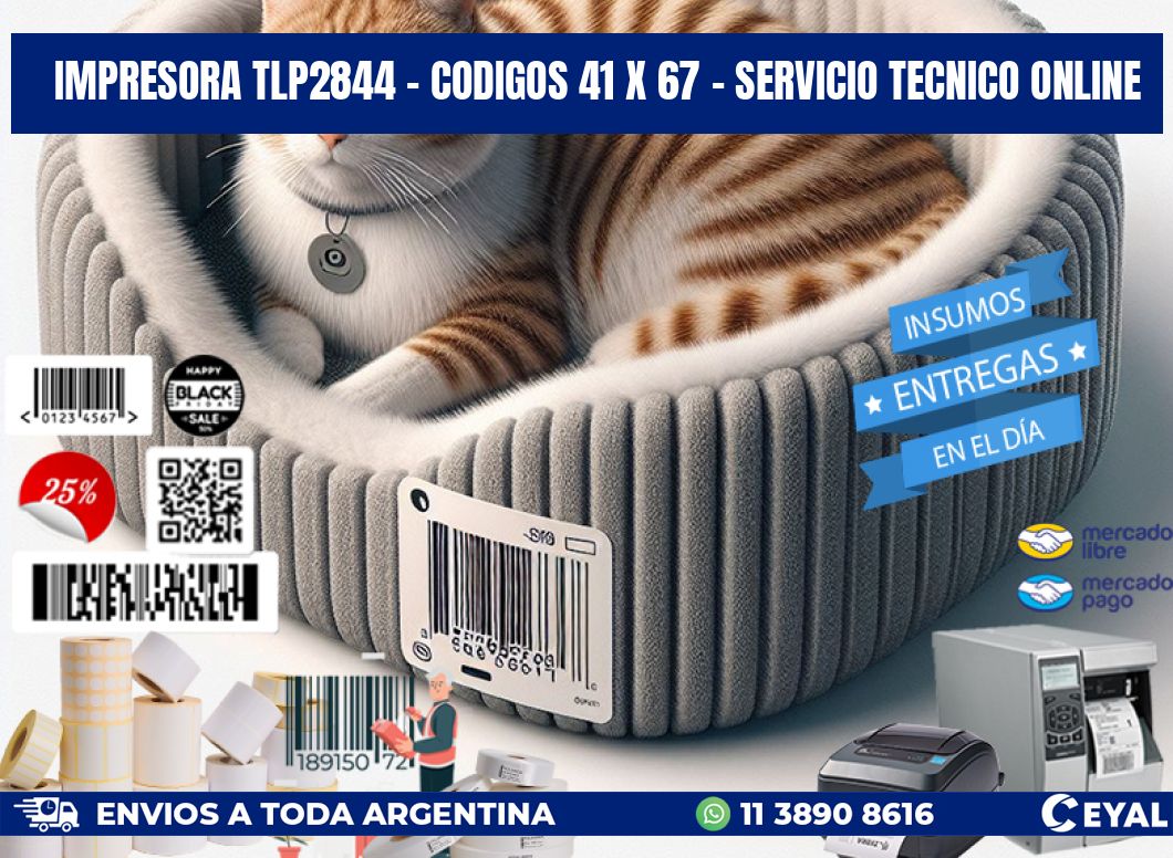 IMPRESORA TLP2844 - CODIGOS 41 x 67 - SERVICIO TECNICO ONLINE