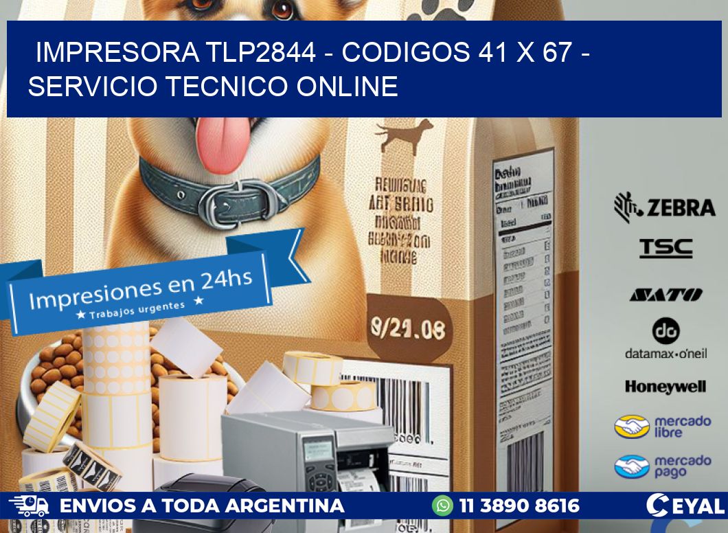 IMPRESORA TLP2844 – CODIGOS 41 x 67 – SERVICIO TECNICO ONLINE