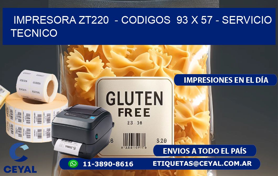 IMPRESORA ZT220  – CODIGOS  93 x 57 – SERVICIO TECNICO