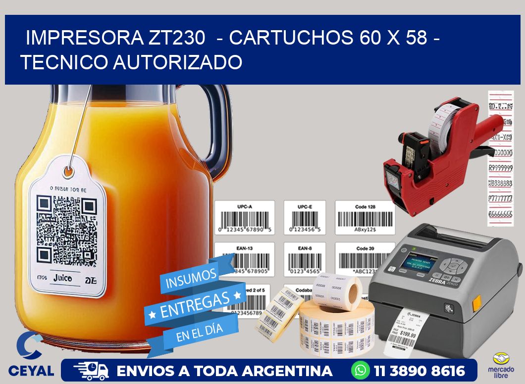 IMPRESORA ZT230 - CARTUCHOS 60 x 58 - TECNICO AUTORIZADO
