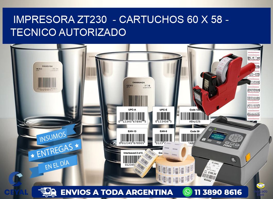 IMPRESORA ZT230 - CARTUCHOS 60 x 58 - TECNICO AUTORIZADO