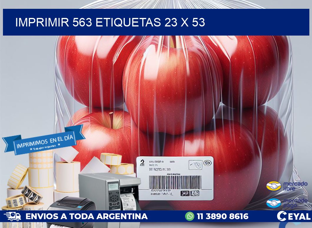 IMPRIMIR 563 ETIQUETAS 23 x 53