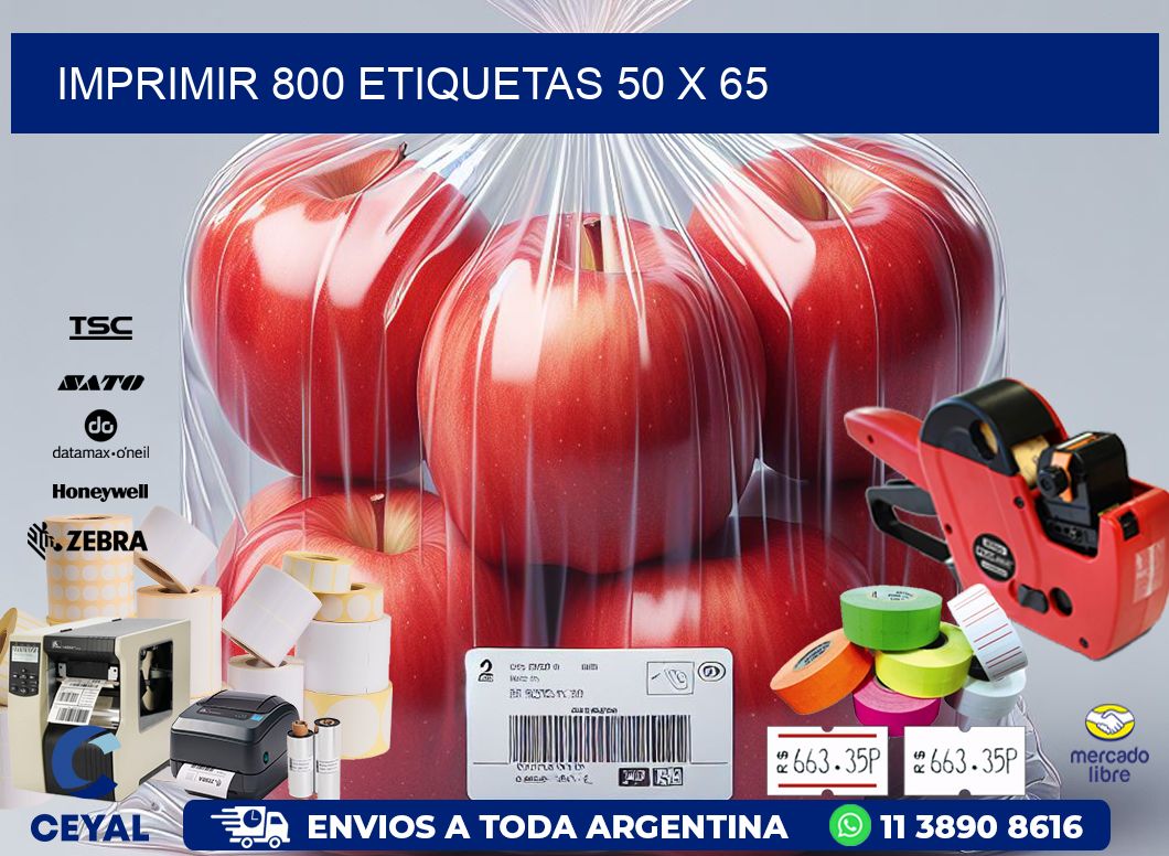 IMPRIMIR 800 ETIQUETAS 50 x 65