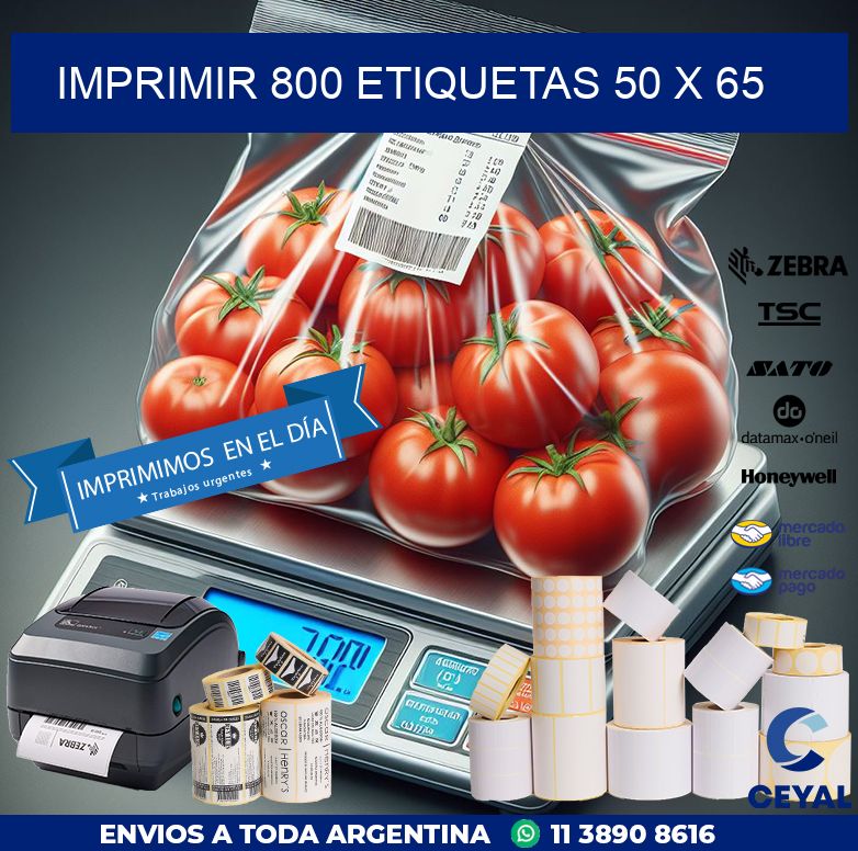 IMPRIMIR 800 ETIQUETAS 50 x 65