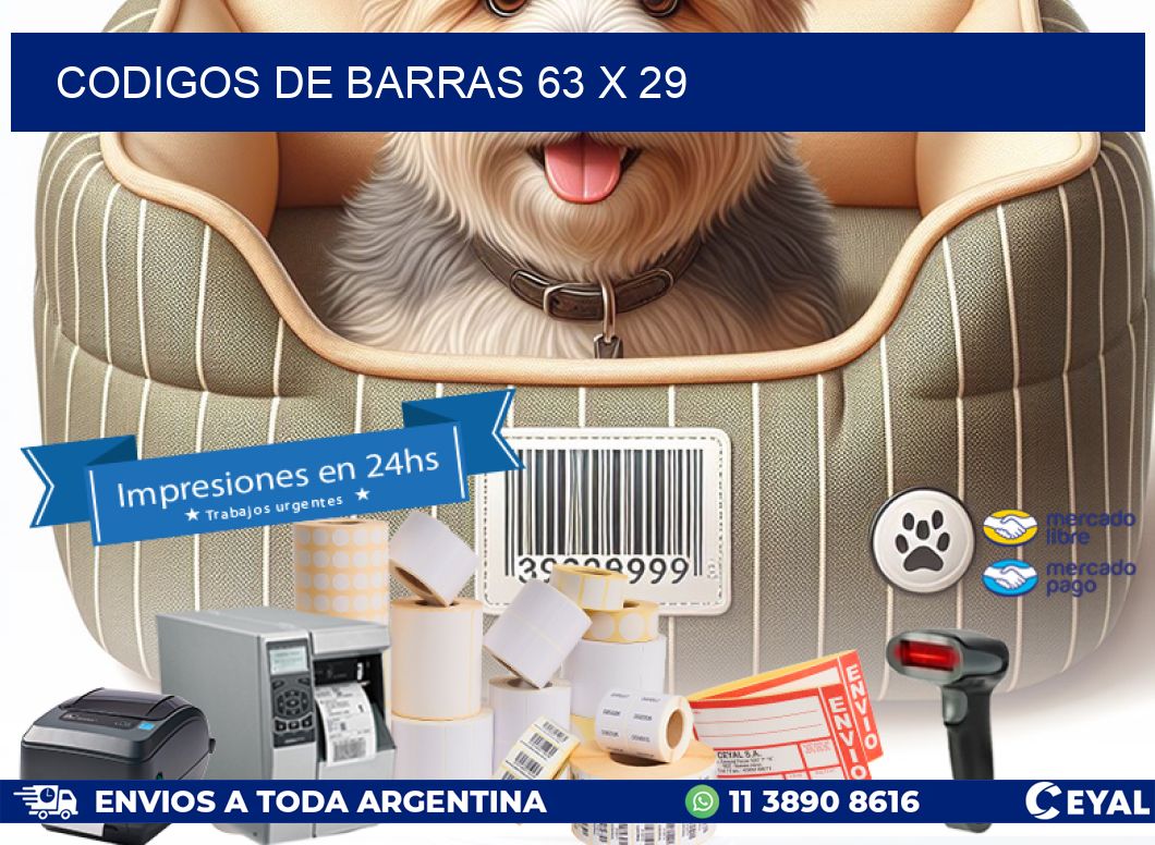codigos de barras 63 x 29