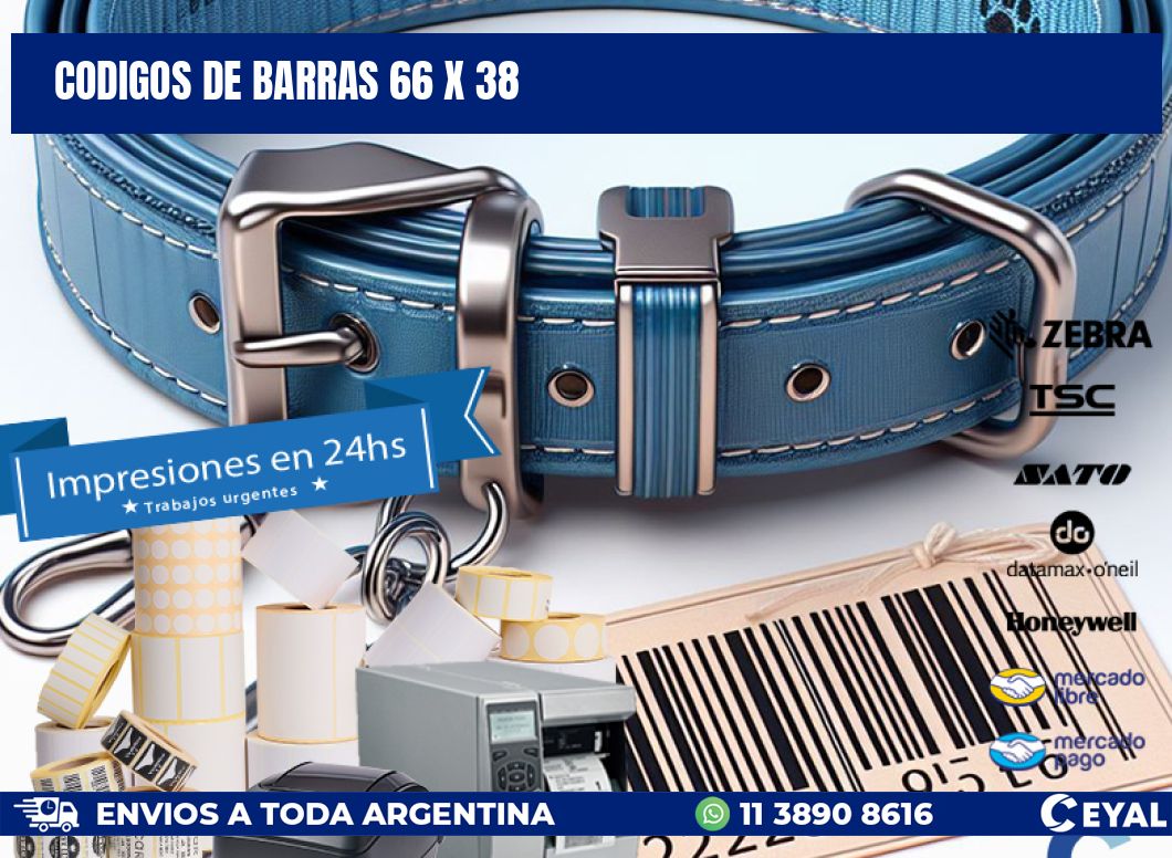 codigos de barras 66 x 38