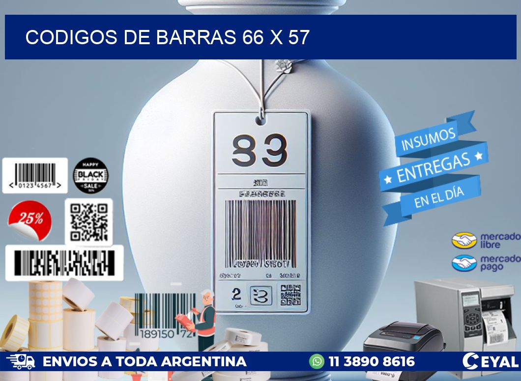 codigos de barras 66 x 57