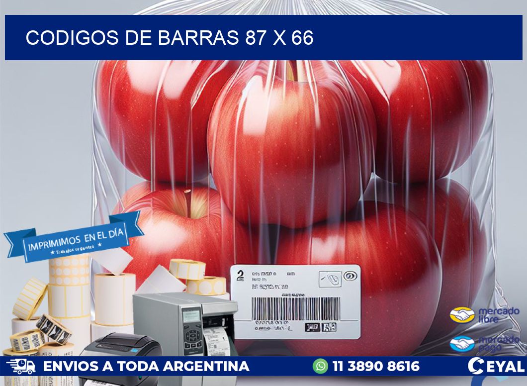 codigos de barras 87 x 66