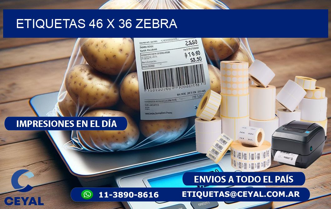 ETIQUETAS 46 x 36 ZEBRA