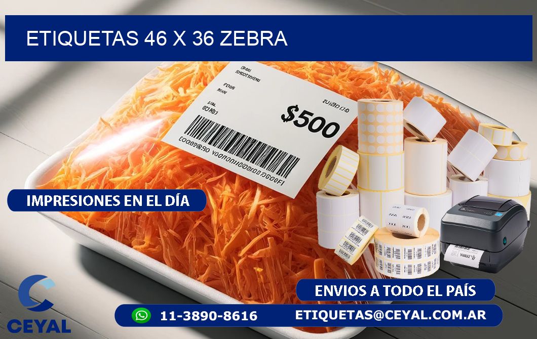 ETIQUETAS 46 x 36 ZEBRA
