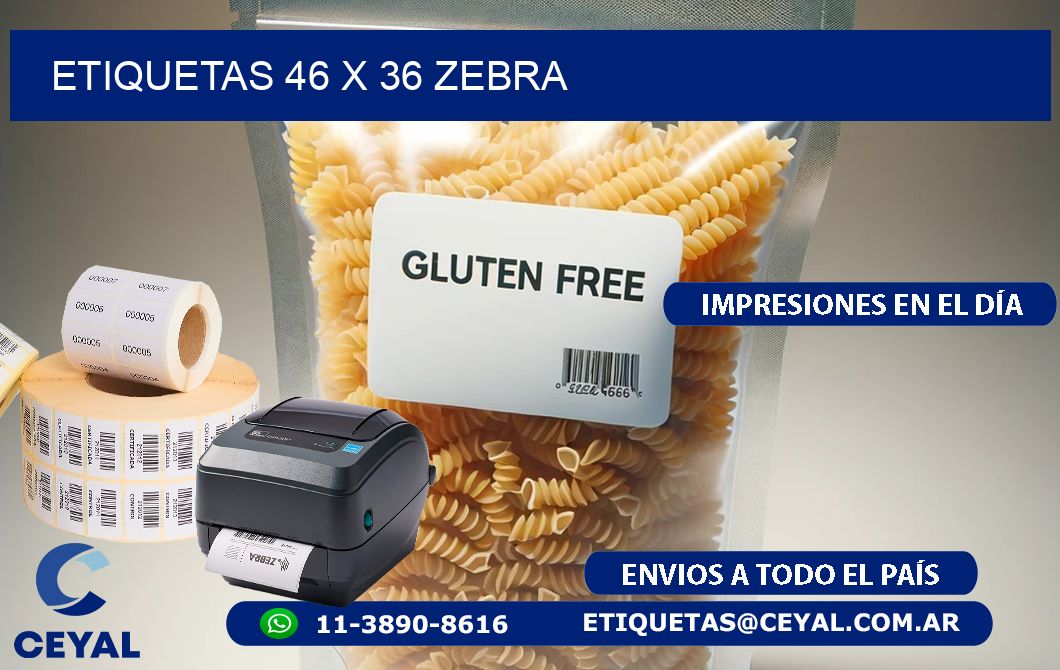 ETIQUETAS 46 x 36 ZEBRA