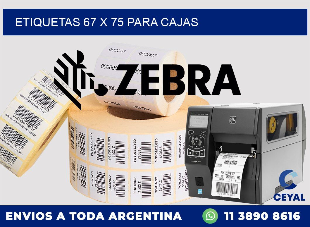 ETIQUETAS 67 x 75 PARA CAJAS