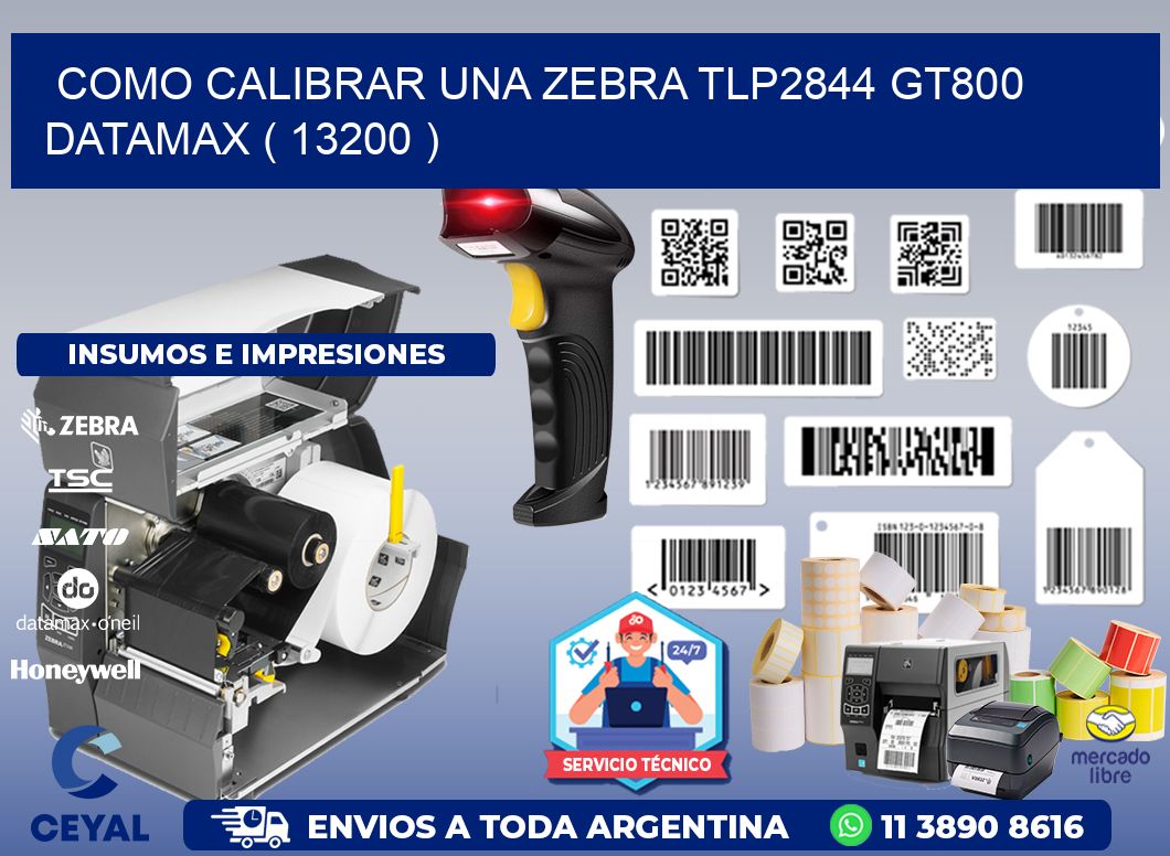 COMO CALIBRAR UNA ZEBRA TLP2844 GT800 DATAMAX ( 13200 )
