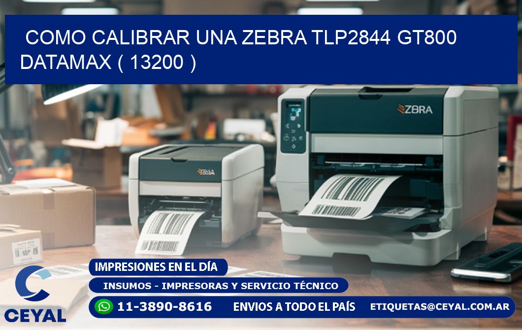 COMO CALIBRAR UNA ZEBRA TLP2844 GT800 DATAMAX ( 13200 )