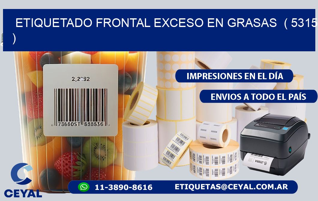 ETIQUETADO FRONTAL EXCESO EN GRASAS ( 5315 )