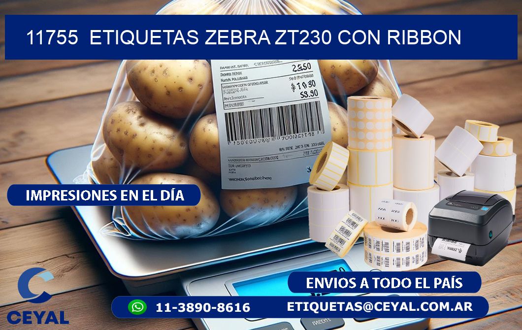 11755  ETIQUETAS ZEBRA ZT230 CON RIBBON
