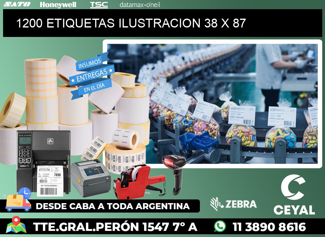 1200 ETIQUETAS ILUSTRACION 38 x 87