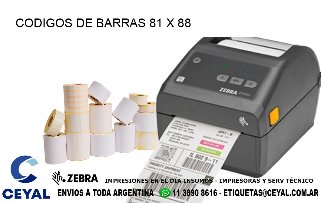 CODIGOS DE BARRAS 81 x 88