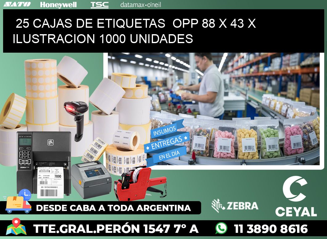 25 CAJAS DE ETIQUETAS  OPP 88 x 43 X ILUSTRACION 1000 UNIDADES
