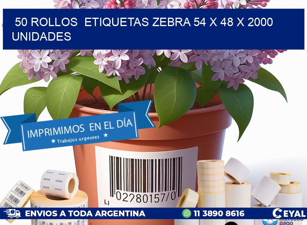 50 ROLLOS ETIQUETAS ZEBRA 54 x 48 X 2000 UNIDADES