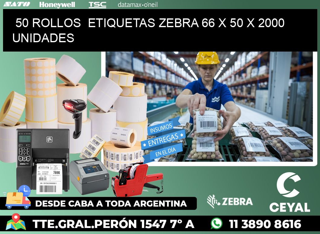 50 ROLLOS ETIQUETAS ZEBRA 66 x 50 X 2000 UNIDADES