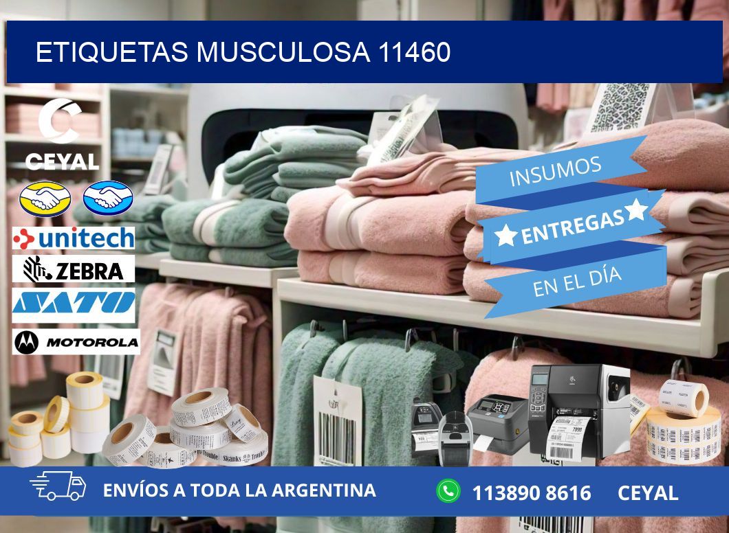 ETIQUETAS MUSCULOSA 11460