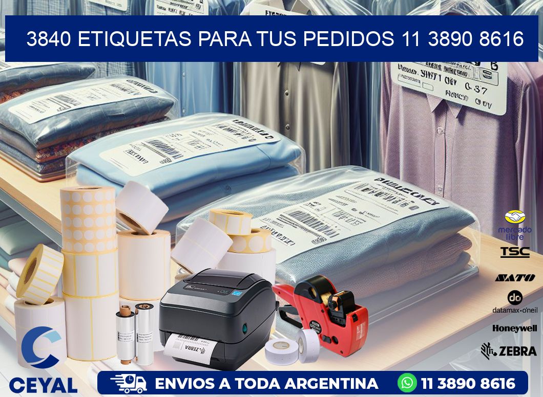 3840 ETIQUETAS PARA TUS PEDIDOS 11 3890 8616