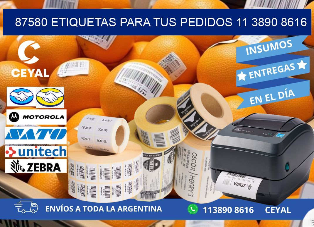 87580 ETIQUETAS PARA TUS PEDIDOS 11 3890 8616