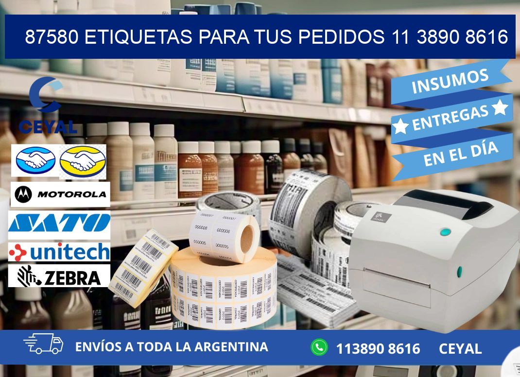 87580 ETIQUETAS PARA TUS PEDIDOS 11 3890 8616