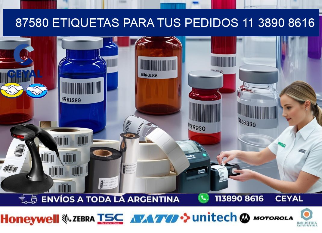 87580 ETIQUETAS PARA TUS PEDIDOS 11 3890 8616