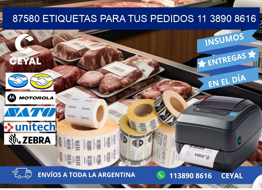 87580 ETIQUETAS PARA TUS PEDIDOS 11 3890 8616