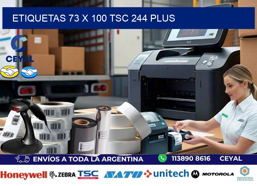 ETIQUETAS 73 x 100 TSC 244 PLUS