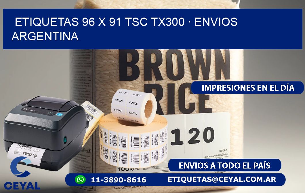 ETIQUETAS 96 x 91 TSC TX300 · ENVIOS ARGENTINA