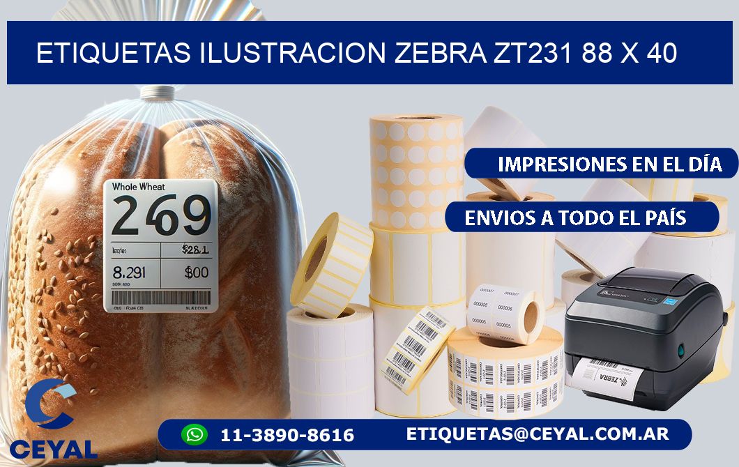 ETIQUETAS ILUSTRACION ZEBRA ZT231 88 x 40