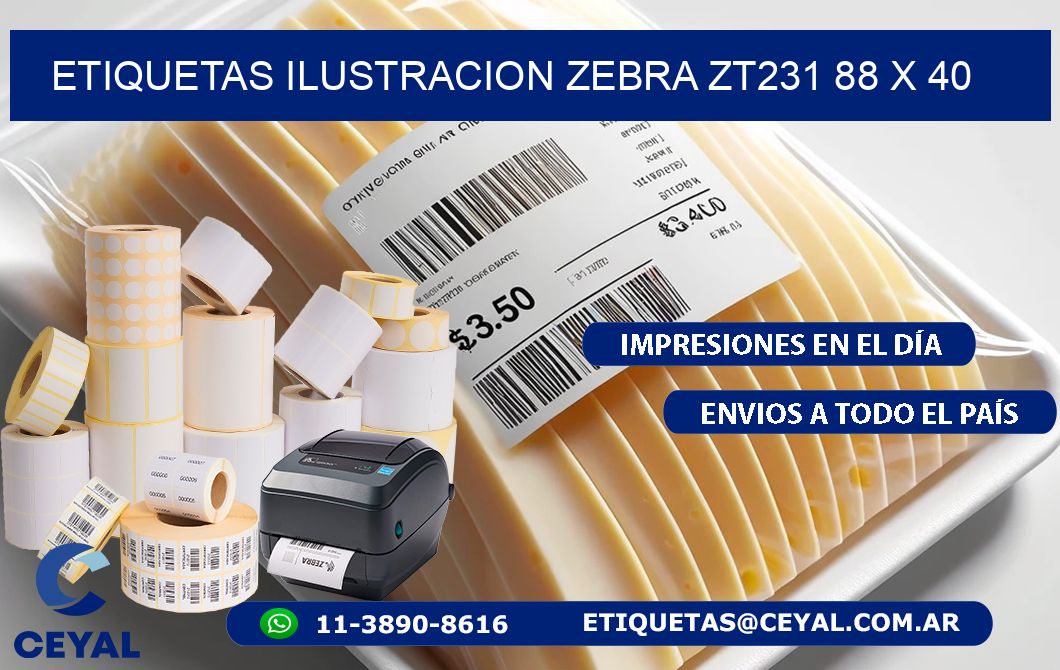 ETIQUETAS ILUSTRACION ZEBRA ZT231 88 x 40