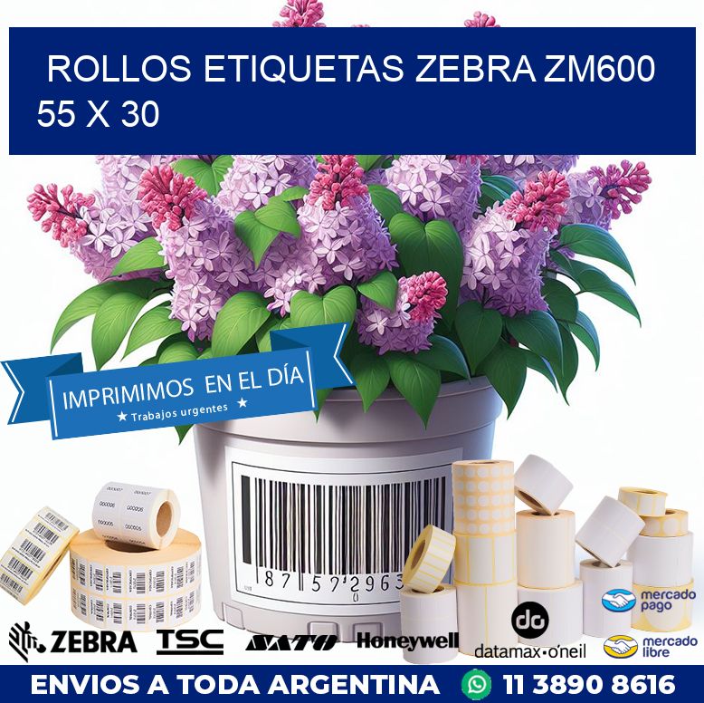ROLLOS ETIQUETAS Zebra ZM600 55 x 30