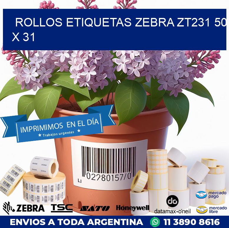 ROLLOS ETIQUETAS Zebra ZT231 50 x 31