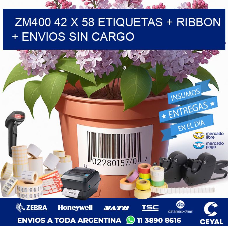 ZM400 42 x 58 etiquetas + ribbon + envios sin cargo