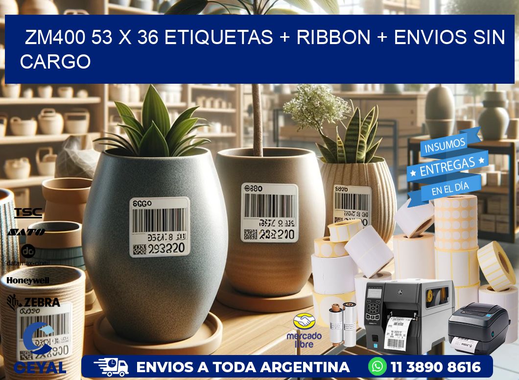 ZM400 53 x 36 etiquetas + ribbon + envios sin cargo