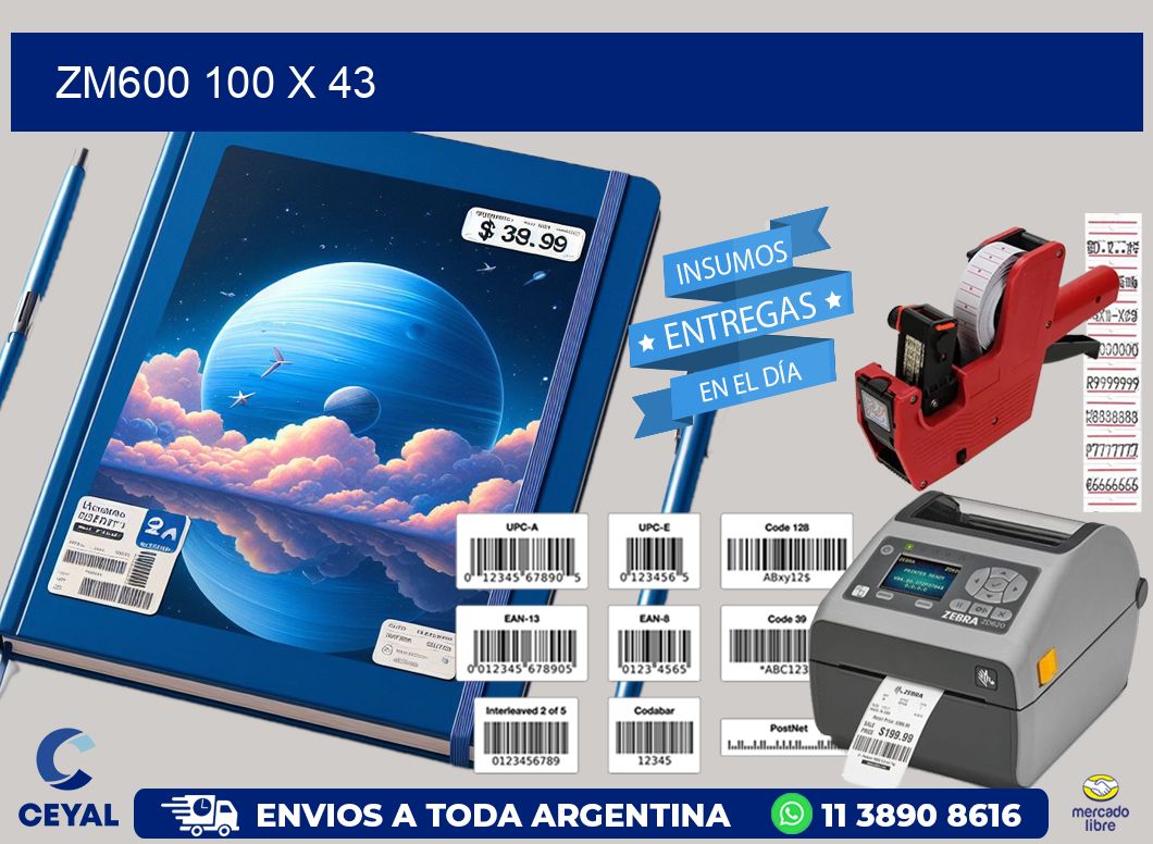 ZM600 100 x 43