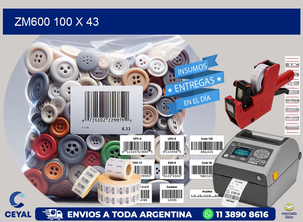 ZM600 100 x 43
