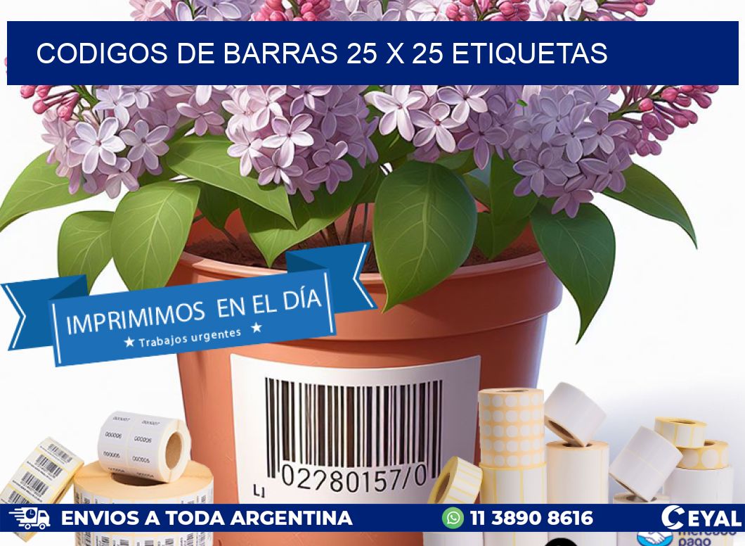 codigos de barras 25 x 25 etiquetas