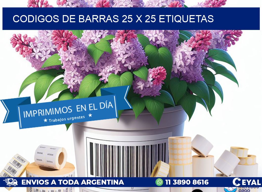 codigos de barras 25 x 25 etiquetas