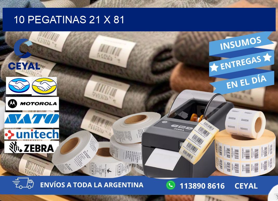 10 PEGATINAS 21 x 81