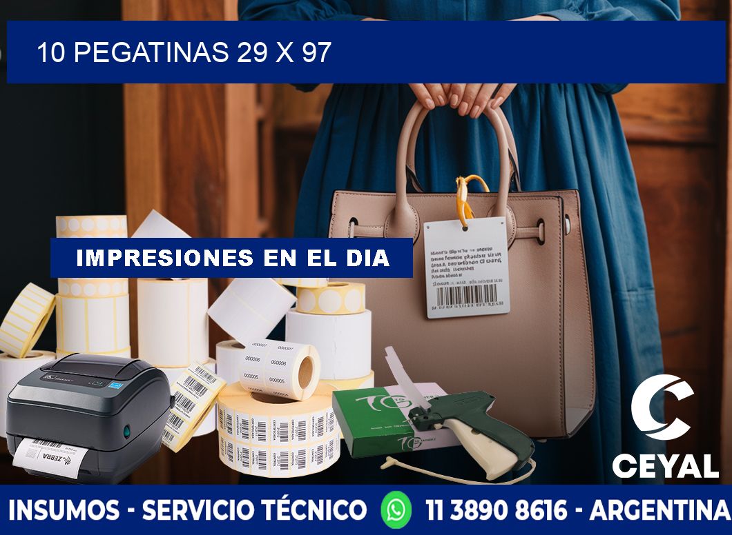 10 PEGATINAS 29 x 97