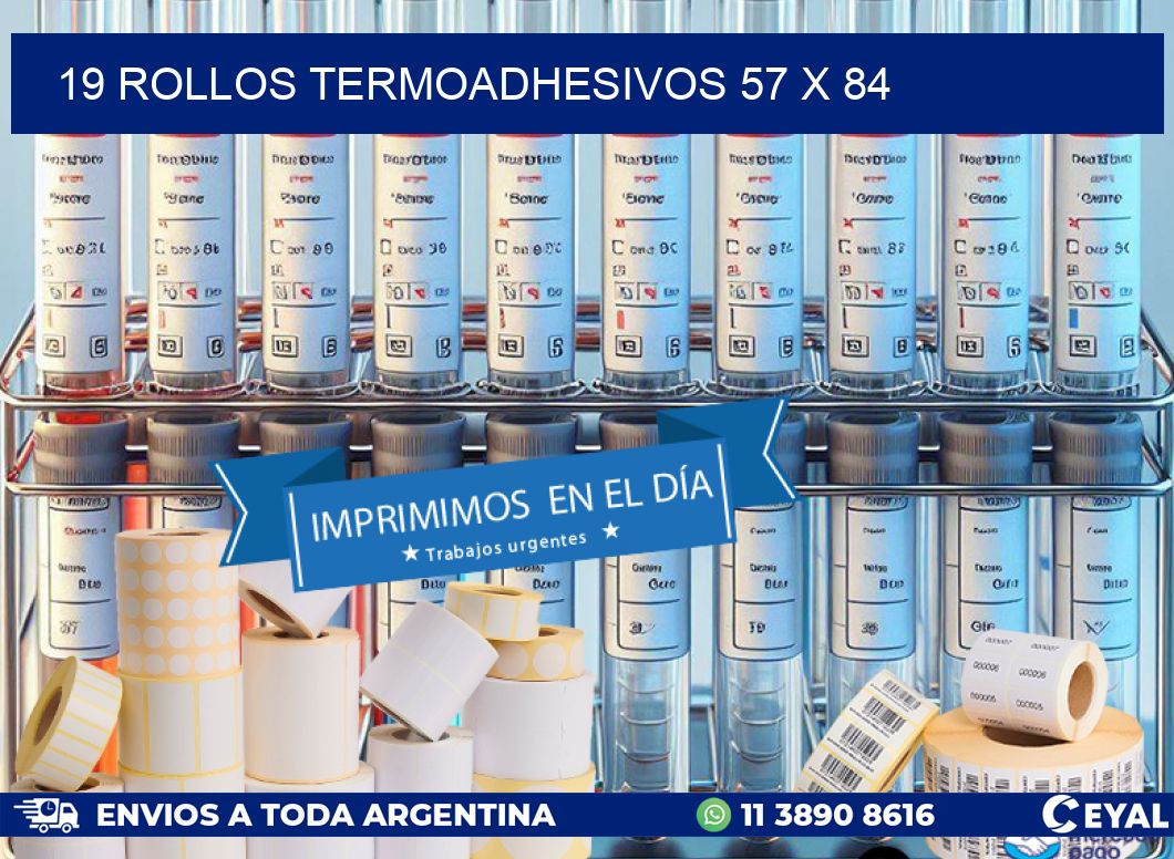 19 ROLLOS TERMOADHESIVOS 57 x 84